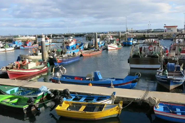 Porto de Setúbal Discover Setúbal Tour